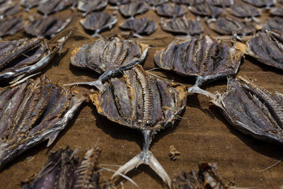 High angle view of dried fish on burlap