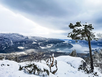 Snow covered land and trees against sky