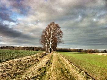 Road passing through field against cloudy sky