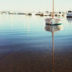 Boats in harbor