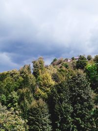 Low angle view of trees against cloudy sky