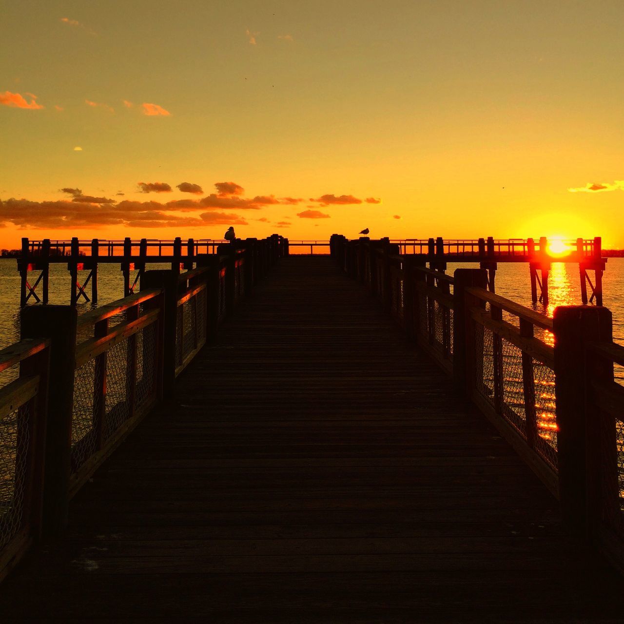 sunset, sea, water, pier, sky, scenics, orange color, the way forward, tranquility, horizon over water, tranquil scene, beauty in nature, sun, railing, nature, silhouette, idyllic, built structure, jetty, beach