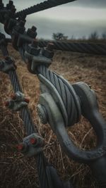 Close-up of horse against sky