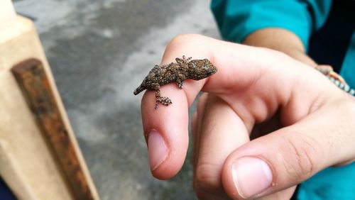 Close-up of hand holding ice cream