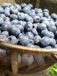 Close-up of grapes in basket