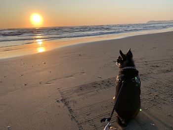 Scenic view of sea during sunset