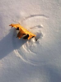 High angle view of fallen dry leaf on snow