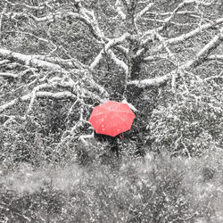 High angle view of red heart shape on snow