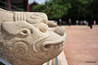 Close-up of statue