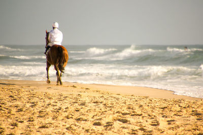 Rear view of man riding horse at beach against sky