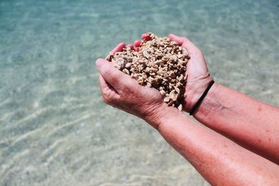 Close-up of hand holding stones on beach