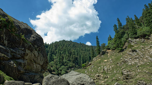 Low angle view of trees and rocks against sky