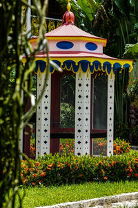 Plants in front of built structure