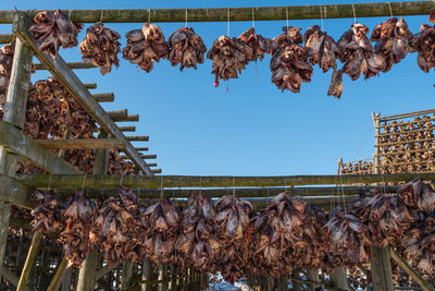 Panoramic shot of clothes drying against sky