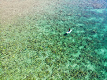 High angle view of people swimming in sea