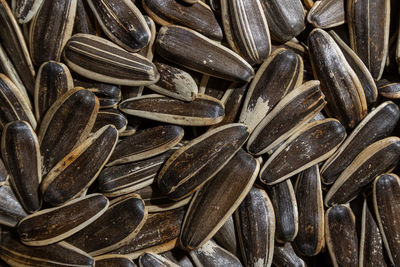 sunflower seed