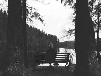 Rear view of woman sitting on bench against bare trees