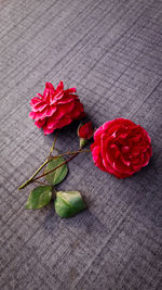 Close-up of red roses