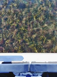 High angle view of trees seen through car window