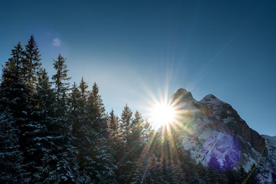 Sunlight streaming through trees against sky on sunny day