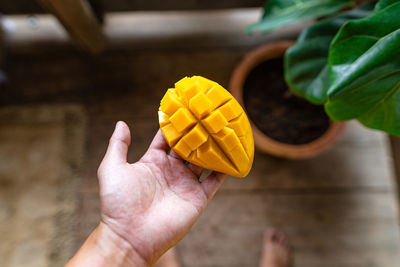 Close-up of hand holding yellow leaf