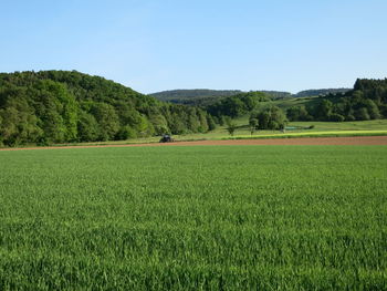Scenic view of agricultural field against clear sky