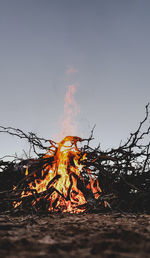Bonfire on wooden log against sky