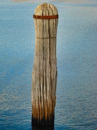 Close-up of tree trunk by sea