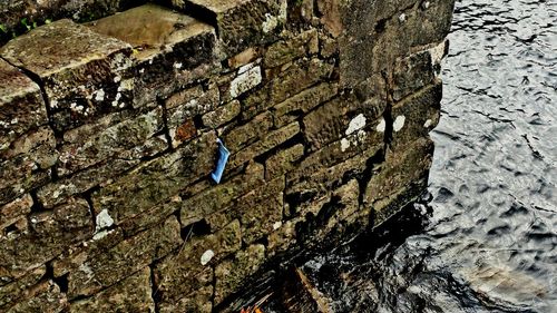 High angle view of birds on rock