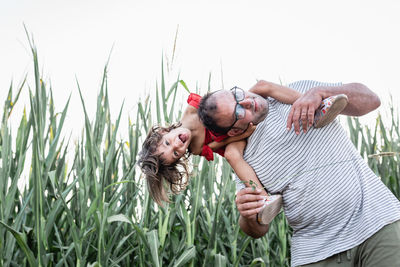 Excited girl with blond hair sitting on the shoulders of her laughing father in corn field