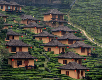 Houses in village