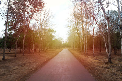 Road amidst trees against sky