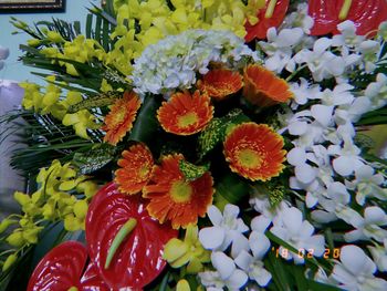 Close-up of flowers