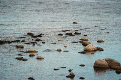 High angle view of rocks in sea