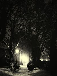 Illuminated street light at night