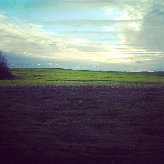 tranquil scene, sky, tranquility, scenics, landscape, cloud - sky, beauty in nature, field, nature, cloudy, cloud, idyllic, rural scene, horizon over land, grass, agriculture, outdoors, no people, remote, weather