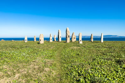 Scenic view of field against clear blue sky