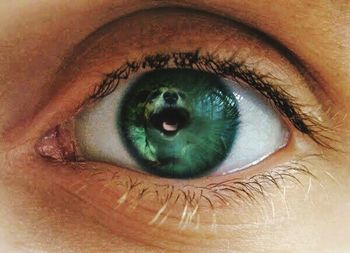 Extreme close up of human eye