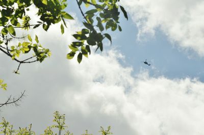 Low angle view of trees against cloudy sky