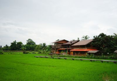 Built structure on field by trees against sky