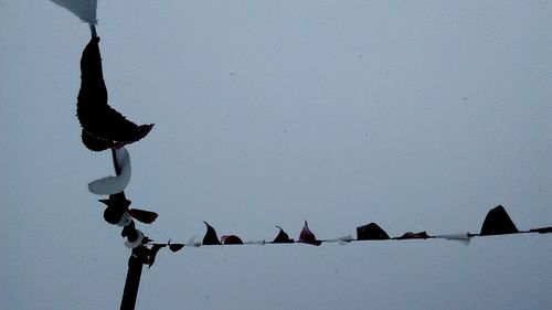 Silhouette birds flying against clear sky