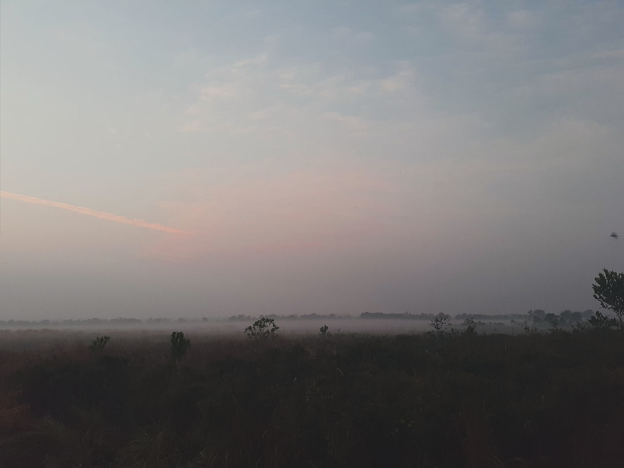 SCENIC VIEW OF FIELD DURING SUNSET