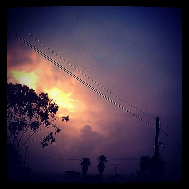 silhouette, transfer print, sky, sunset, low angle view, auto post production filter, cloud - sky, tree, power line, dusk, cloud, nature, electricity pylon, beauty in nature, tranquility, animal themes, outline, outdoors, bird