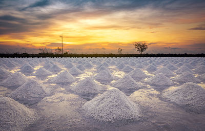 Salt farm in the morning with sunrise sky. organic sea salt. iodine salt.
