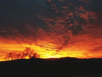 Low angle view of silhouette trees against sky during sunset