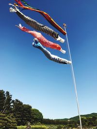 Low angle view of fish hanging on pole against clear blue sky