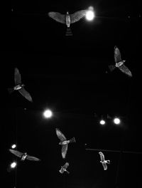 Low angle view of illuminated lighting equipment hanging at night