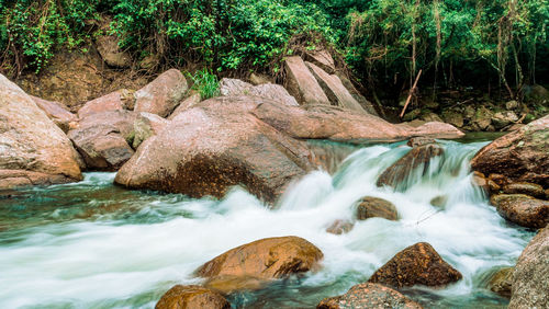 Stream flowing through rocks in forest