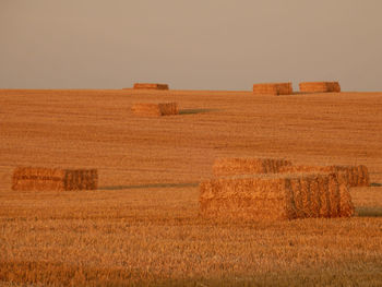Hay bales on field against clear sky