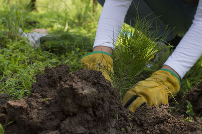 Low section of person working in mud